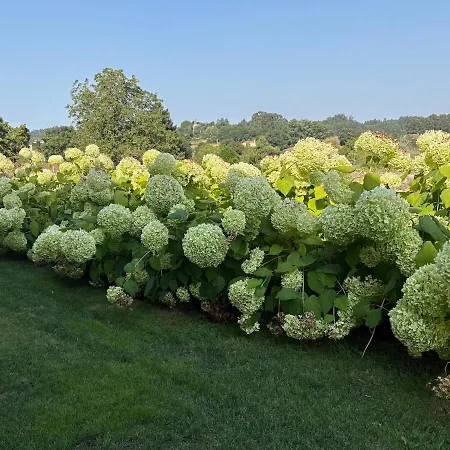 Relax In Santiago De Compostela *