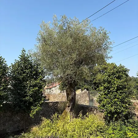 ヴィラ Relax In Santiago De Compostela *