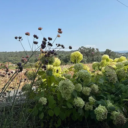Relax In Santiago De Compostela Vedra