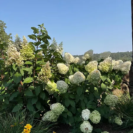 Relax In Santiago De Compostela ヴィラ