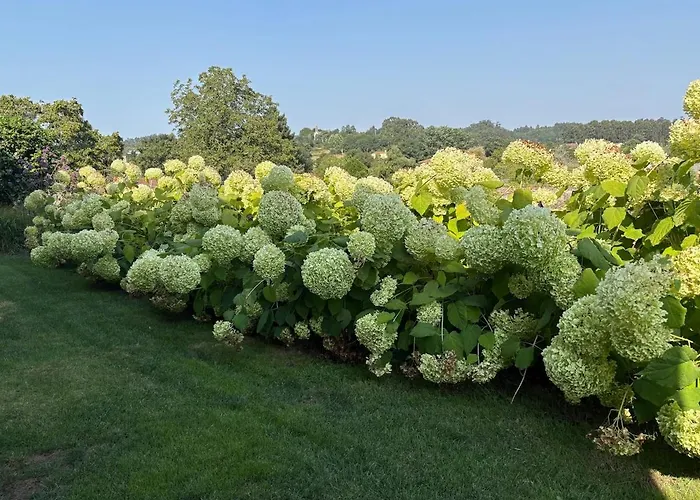 Relax In Santiago De Compostela *