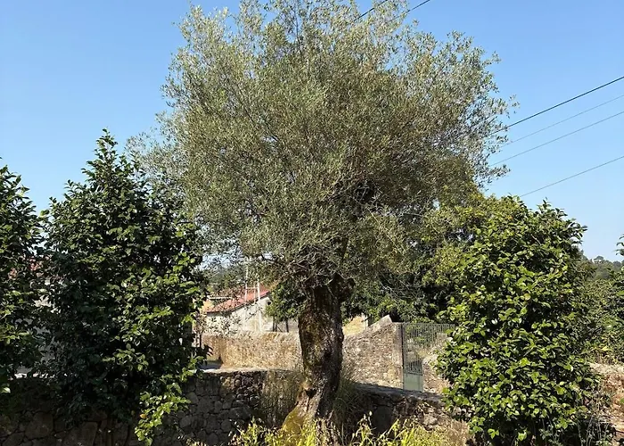 Villa Relax In Santiago De Compostela *